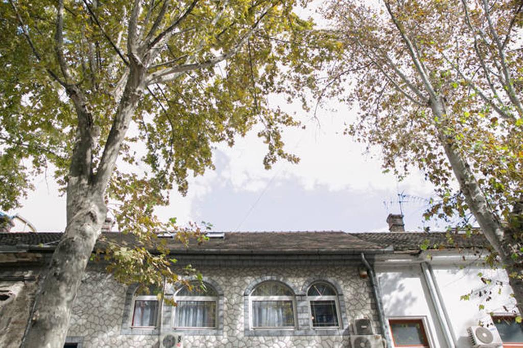 Kona Apartment Beograd Eksteriør bilde